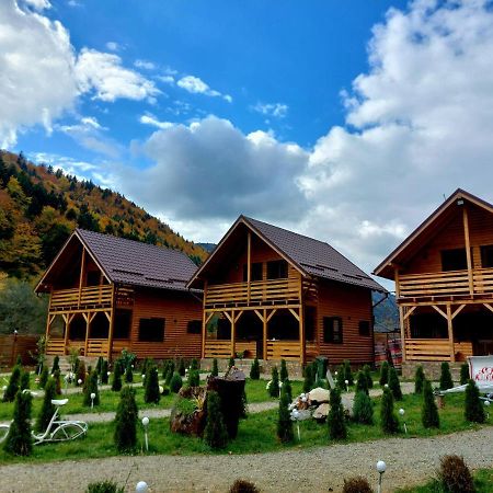 Вілла Aroa Mountain Зернешті Екстер'єр фото