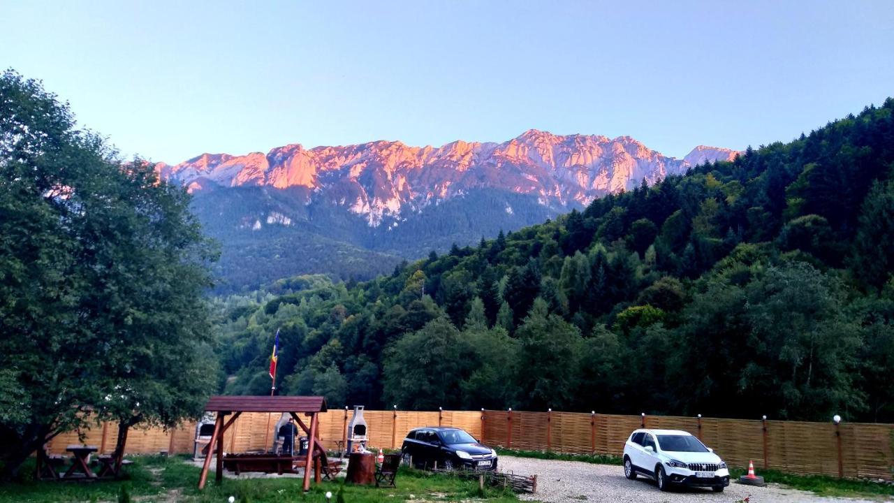 Вілла Aroa Mountain Зернешті Екстер'єр фото